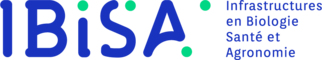 logo GIS IBISA logo GIS IBISA